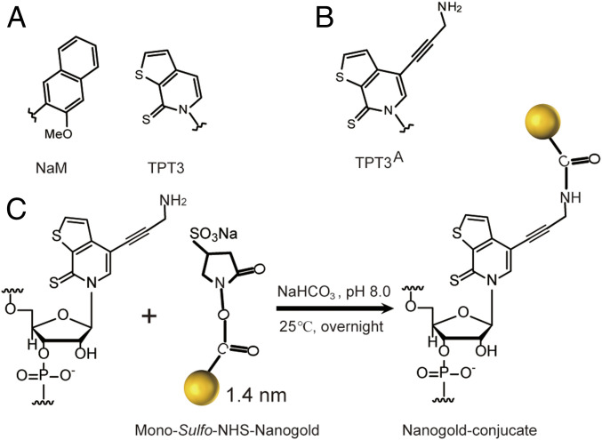 Fig. 1.