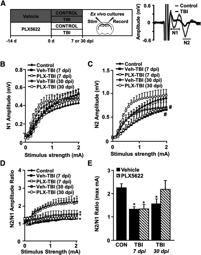 Figure 9.