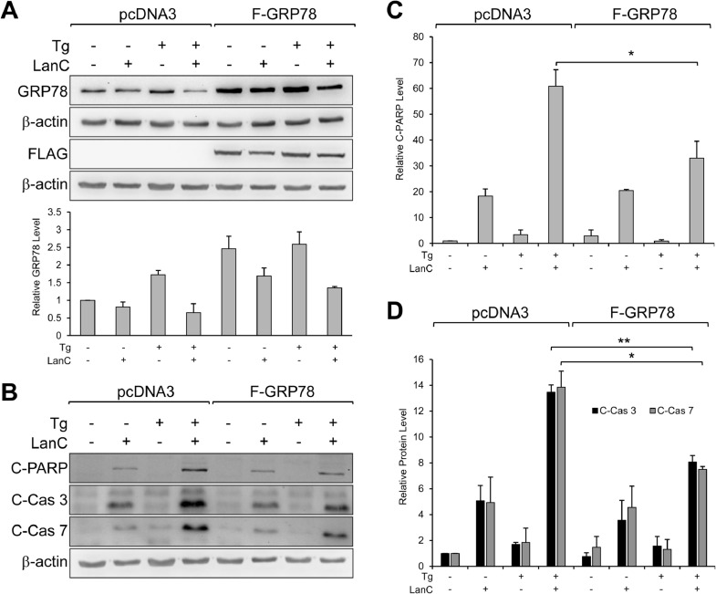 Fig 8