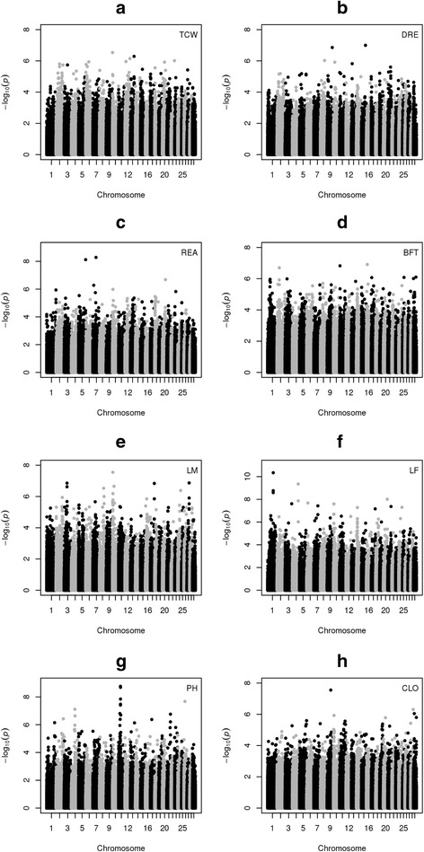 Fig. 3