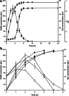 Fig. 6