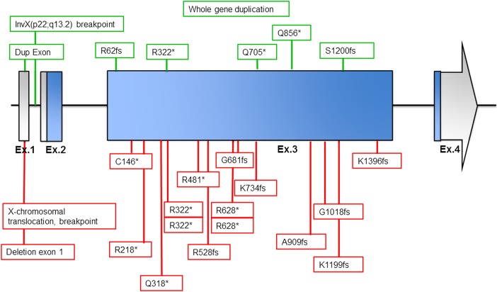 Figure 1