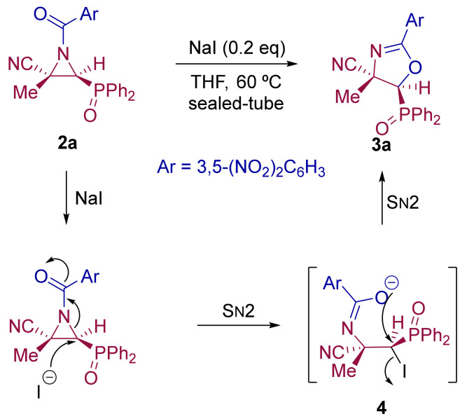 Scheme 2