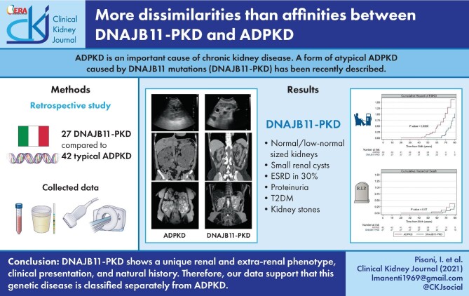 Graphical Abstract