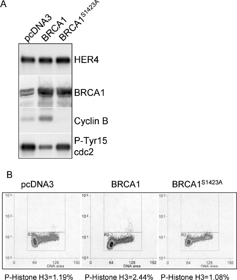 FIG. 8.