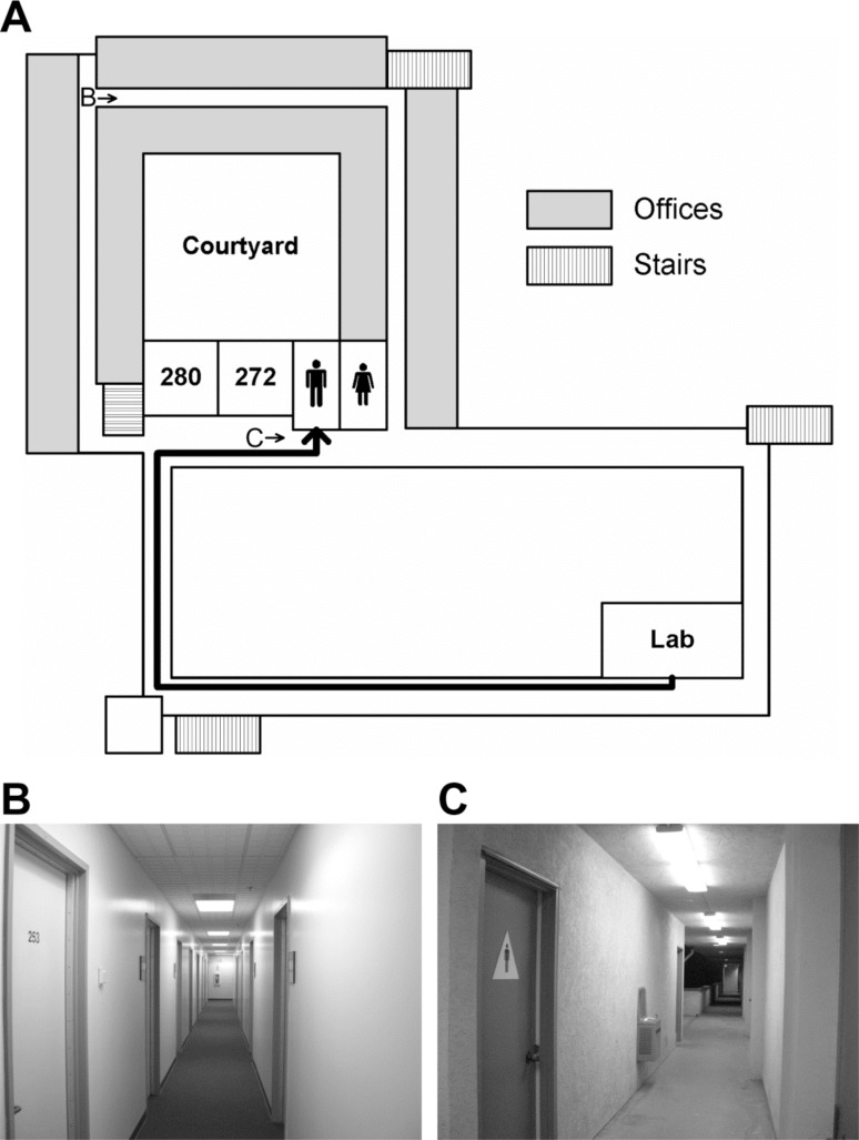 Fig. (1)