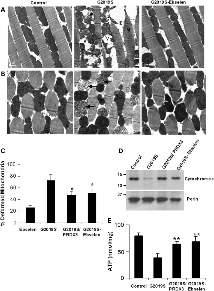 Figure 4