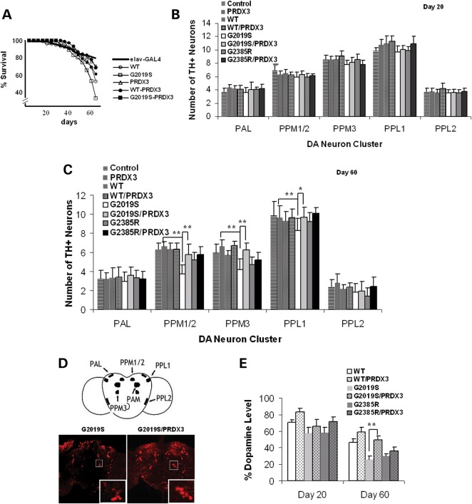 Figure 2.