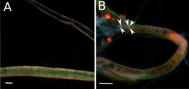 FIG 3