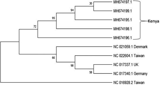 FIGURE 3