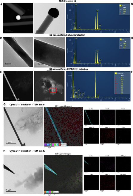 Fig. 6.