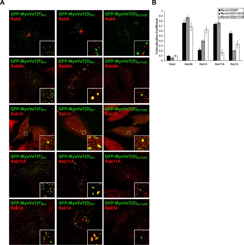 FIGURE 4: