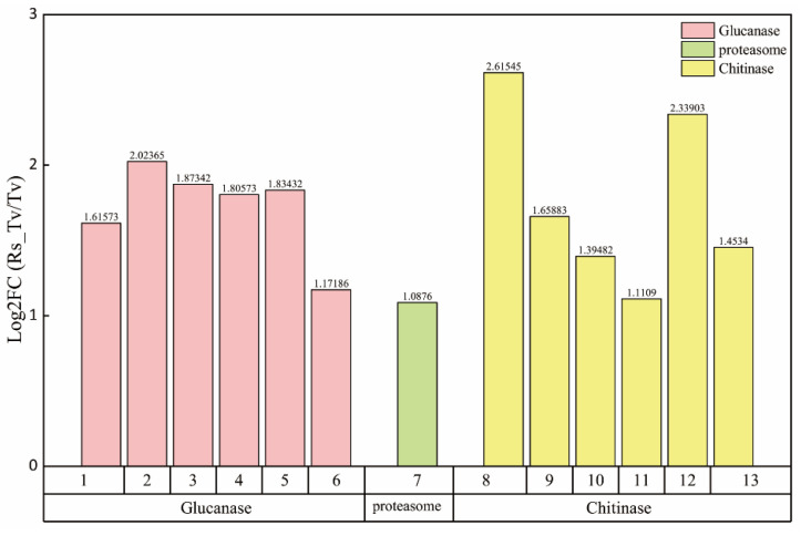 Figure 7