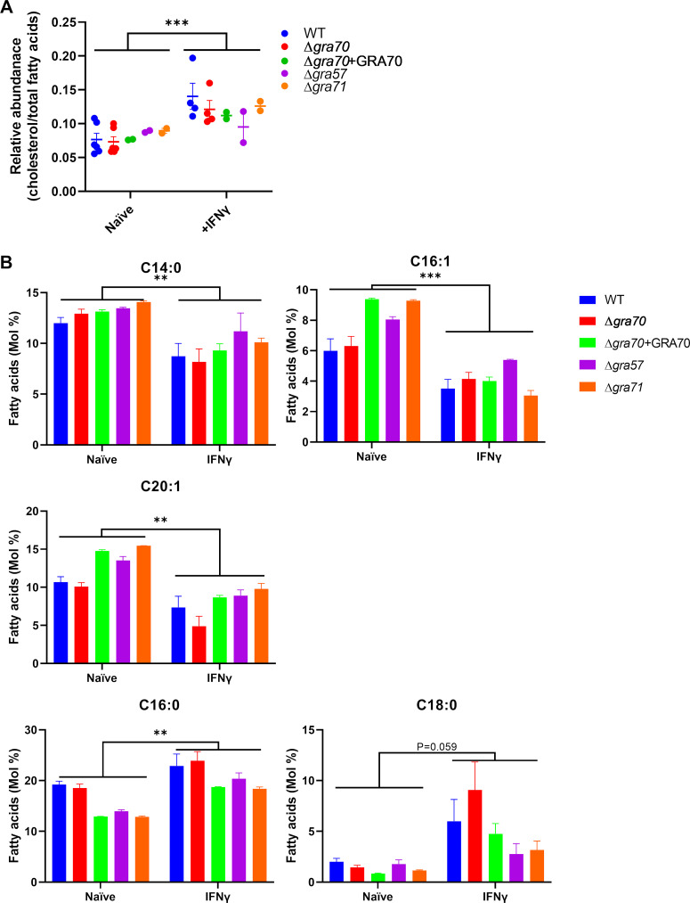 FIG 4