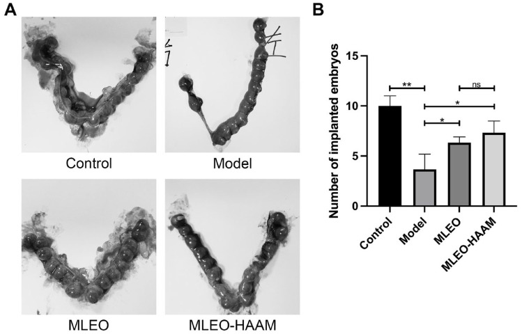 Figure 5.