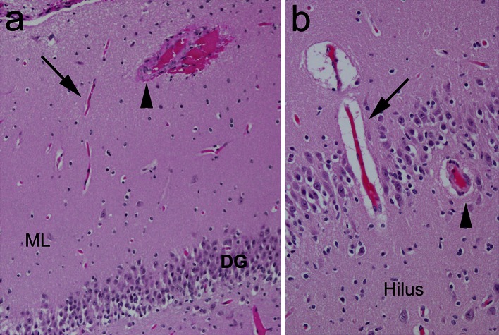 Fig. 6