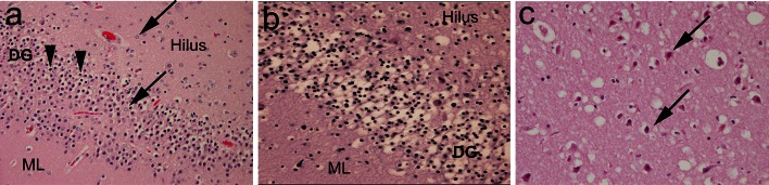 Fig. 3