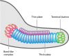 FIG 2