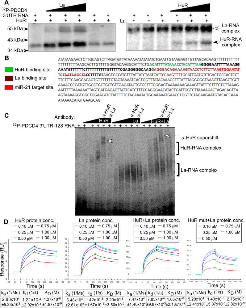 Figure 6