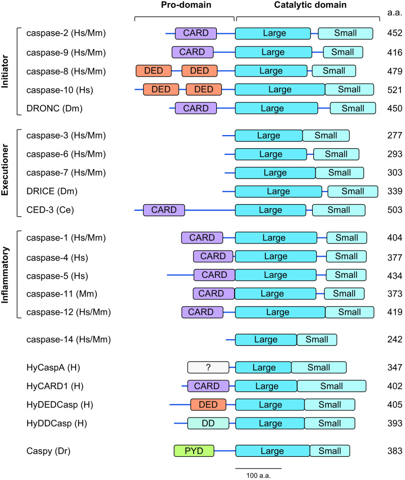 FIGURE 1.