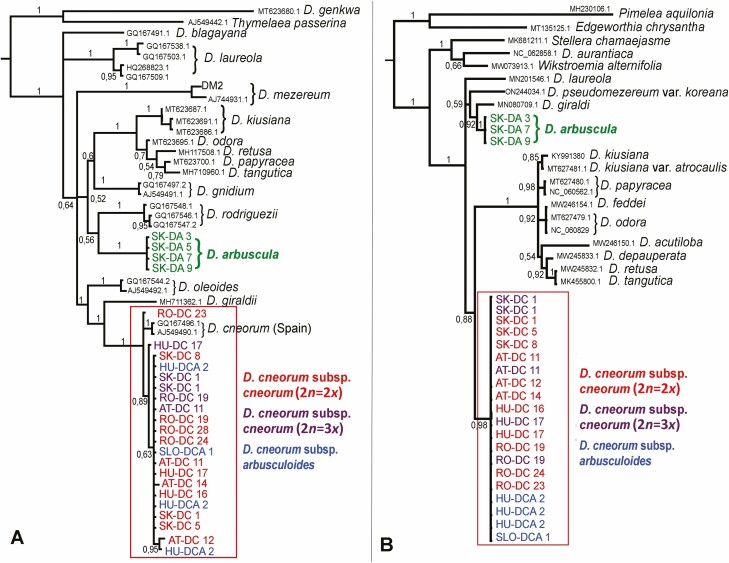 Figure 4.