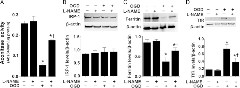 Fig. 3