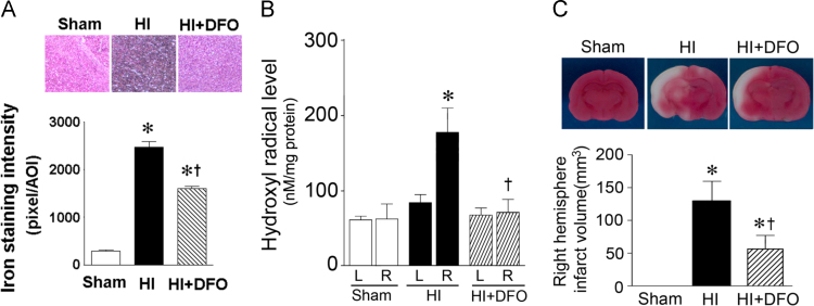 Fig. 8