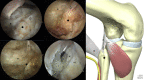 Fig 6