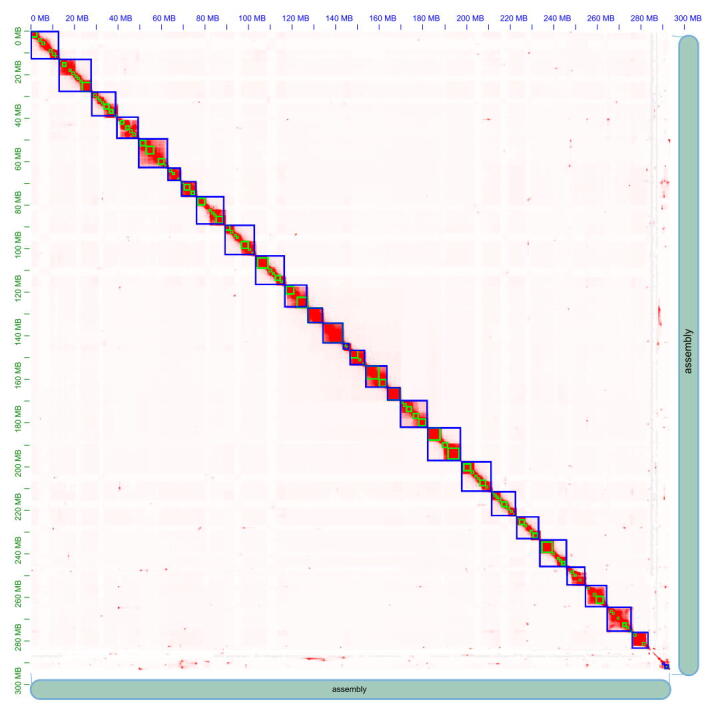 Supplementary Figure S2