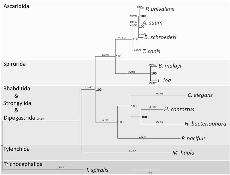 Supplementary Figure S6