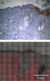 Fig. 4