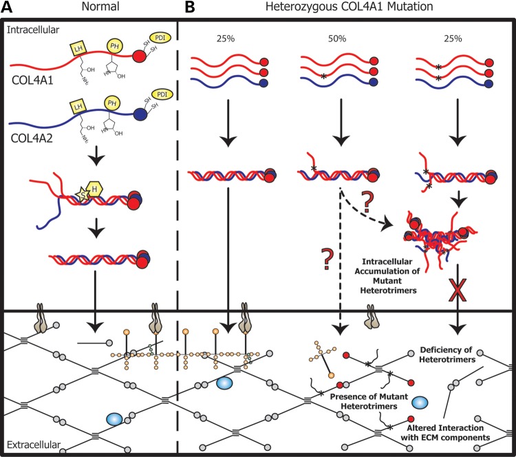 Figure 2.