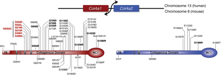 Figure 1.