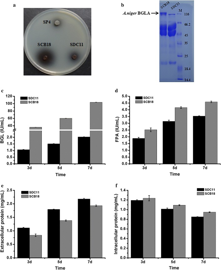 Fig. 4