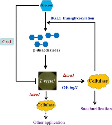 Fig. 8