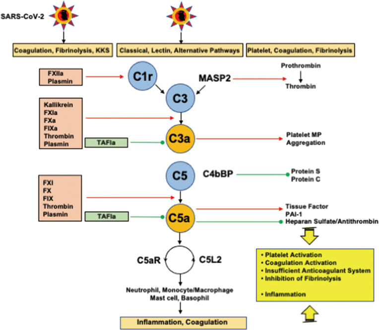 Figure 4