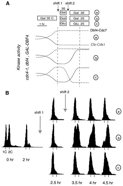 FIG. 6