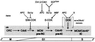 FIG. 8