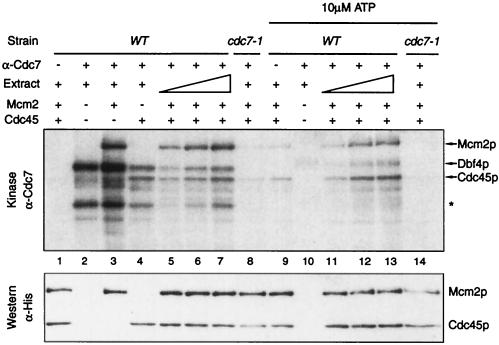 FIG. 7