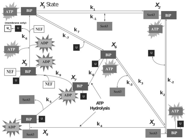 Fig. 2