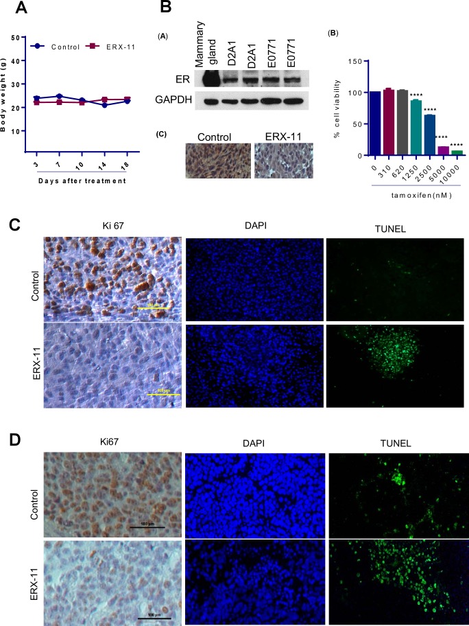 Figure 5—figure supplement 1.