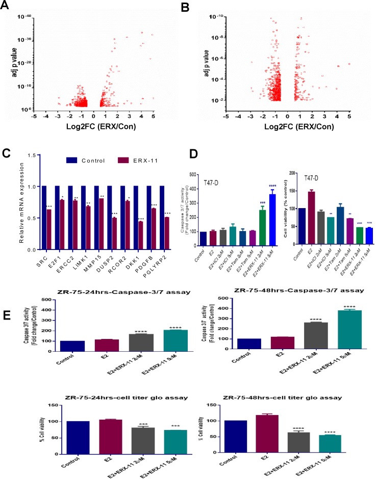 Figure 3—figure supplement 1.