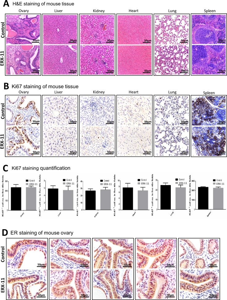 Figure 5—figure supplement 2.