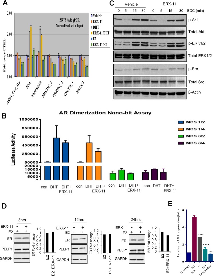 Figure 4—figure supplement 1.