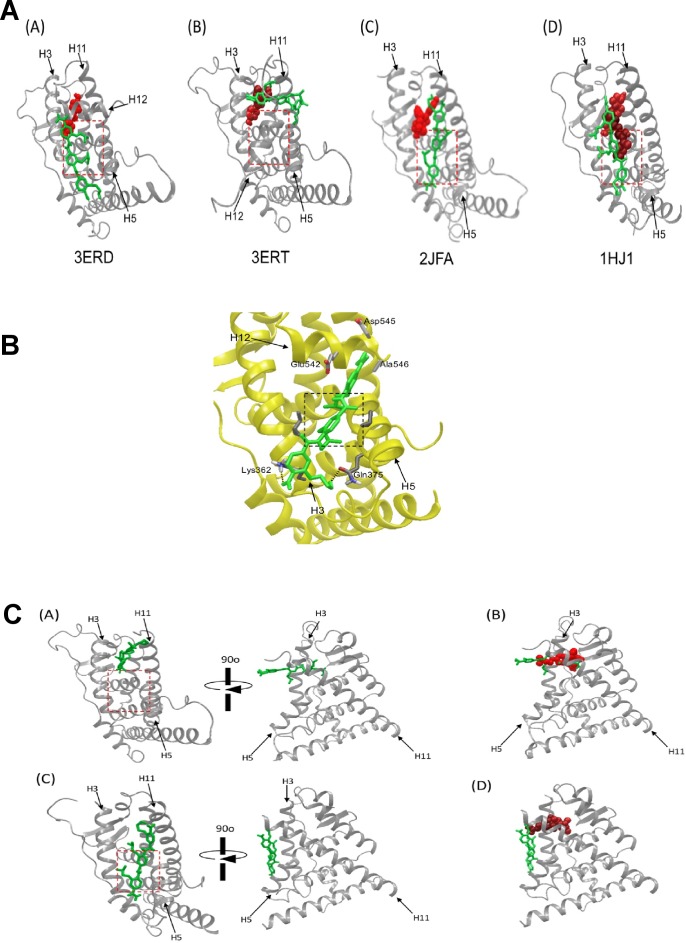 Figure 2—figure supplement 6.