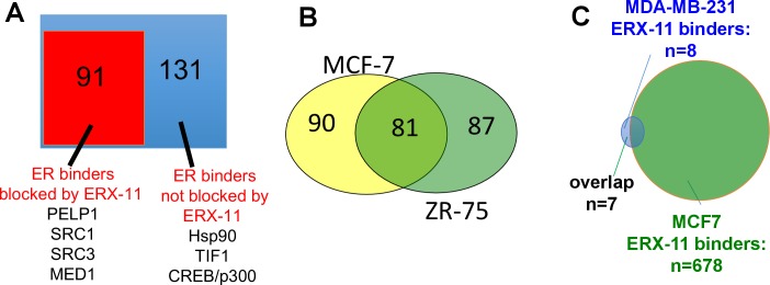 Figure 2—figure supplement 2.