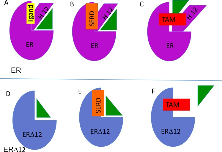 Figure 2—figure supplement 7.