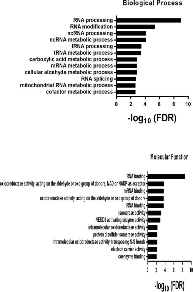 Figure 2—figure supplement 1.