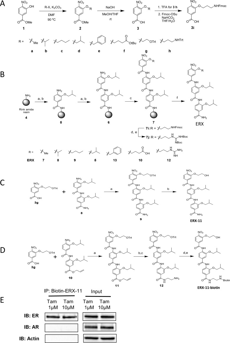 Figure 1—figure supplement 3.