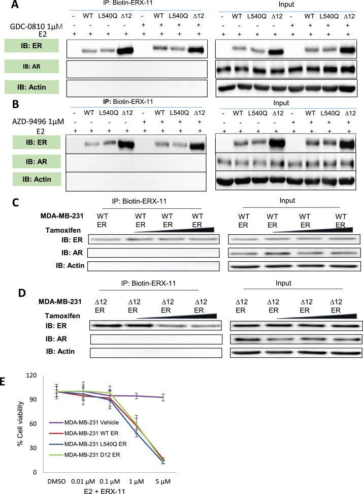 Figure 2—figure supplement 5.